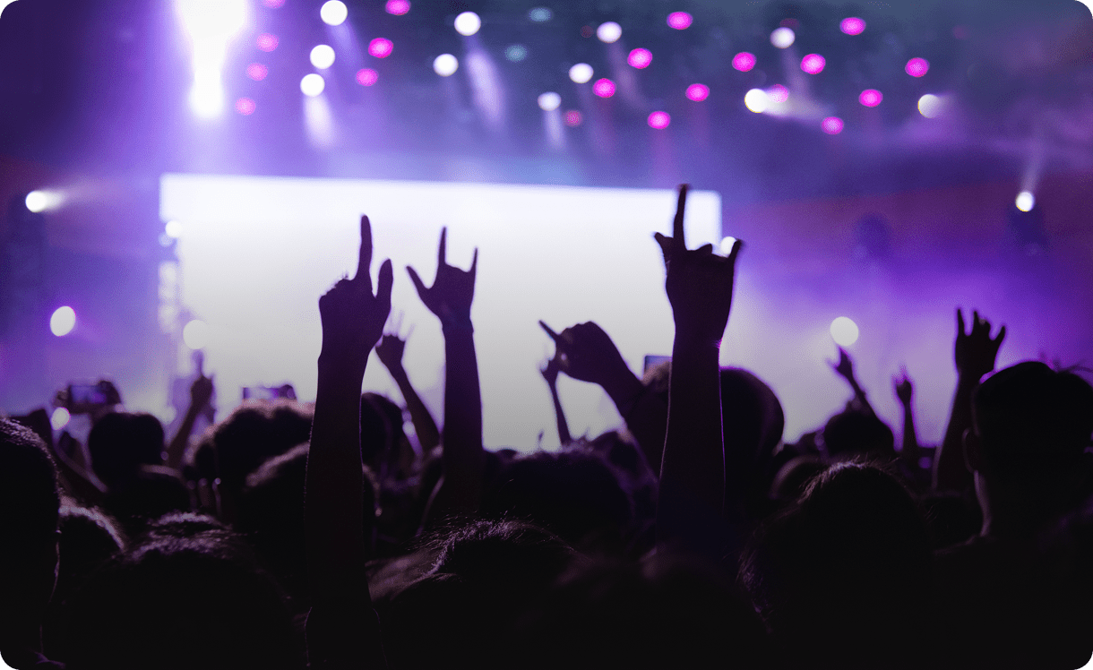 Audience enjoying live music performance